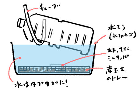 二階建てビオトープ作り方