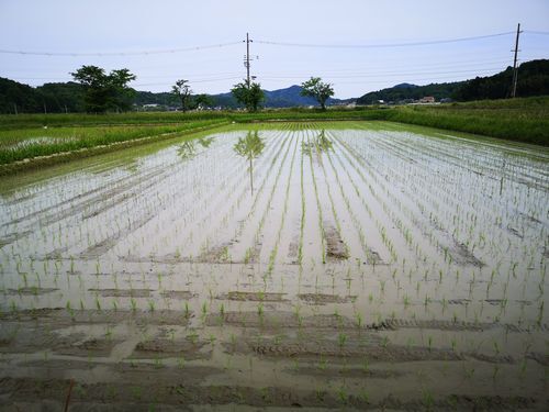 �Ŀ������Ϥ餯����Ǥ���