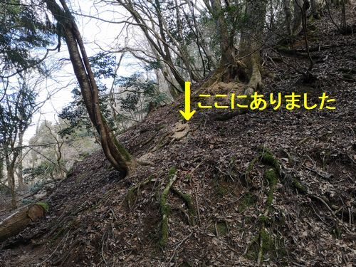 ���Ǥˣ����ֶ᤯������ޤ���