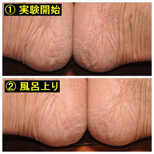 73993d5d[1]