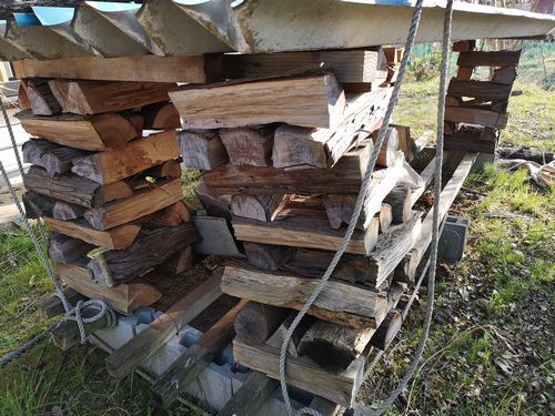 �ž����λ�������ˤ��Ƥ���