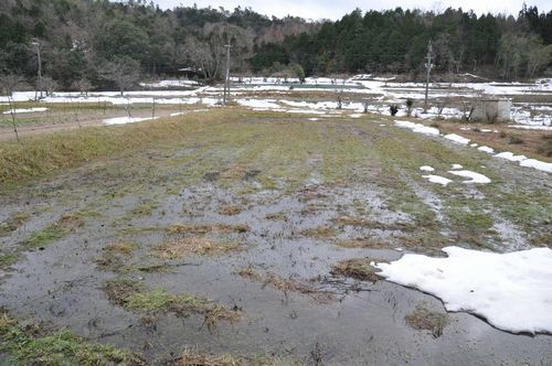 �̤��Ĥ�ܤ����ä��Ƥ��ޤ���