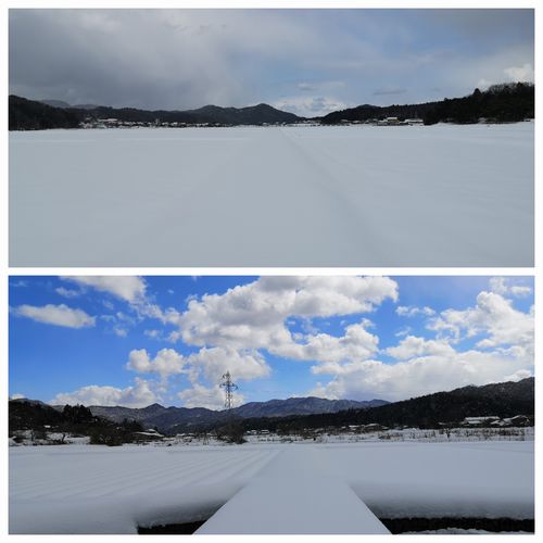 ÅĤó¤Ü¤Ïʬ¸ü¤¤Àã¤Ëʤ¤ï¤ì¤Æ¤¤¤Þ¤¹