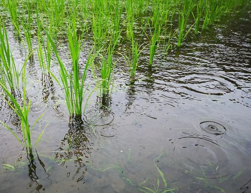 ��ð�夬�¼�Ū���߱�����Ǥ�