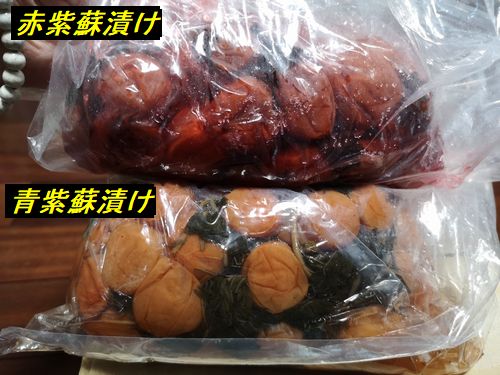 �Ҥ����Τ��ֻ��ɣ�.��Kg