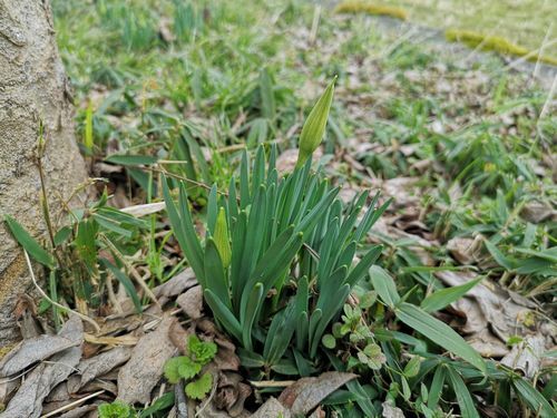 ���꤬���Ӥ�鲤⿭�ӤƤ��ޤ���