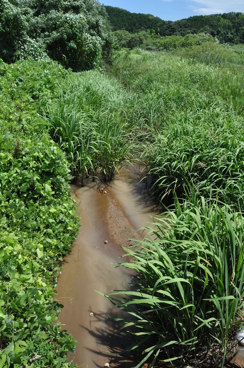 �ţͤ������������ޤ���
