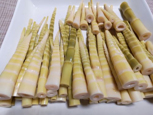 ��®�������ޤ���