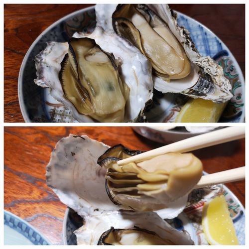 Ǯ���β��������������鼡�ȽФƤ��ޤ�