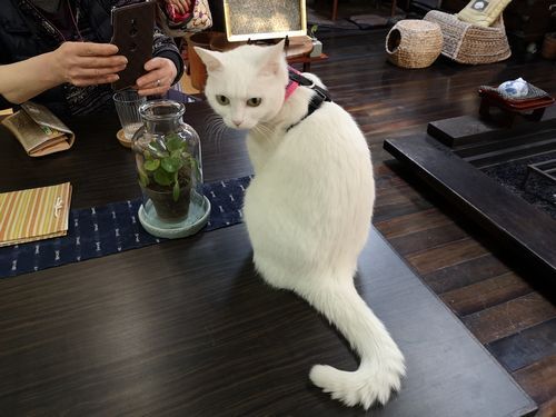 �ߡ�����󤬽зޤ��Ƥ���ޤ���