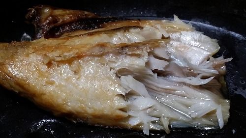 �����⥸�塼�����Ǥ�