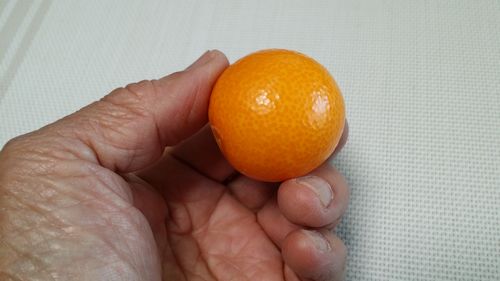 �䤬��󤻤��Τϡ���L������