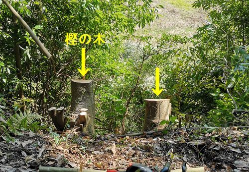 �������ڤ����ڤ�ޤ���