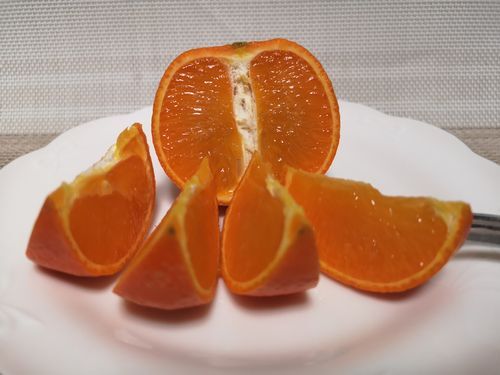 ¡Ö¤¤¤¿¤À¤¤Þ¡Á¤¹¡ª¡×