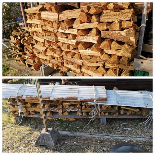 �����������ޤ�