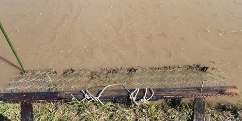 ¥Ó¥Ë¥Ú¥Ã¥È¥¹¥×¥ê¥ó¥°½üÁð¤ò¤·¤Þ¤·¤¿