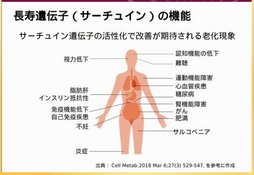 改善が期待される老化現象