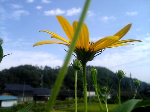 ��������β֤��餭�Ϥ�ޤ���