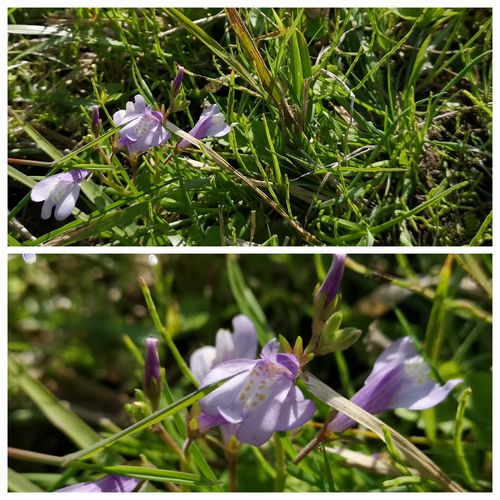 ��饵����������