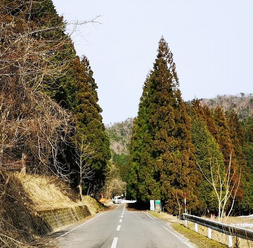 ��ǯ�ѻ����Ƥ�������ڤ��ͻ�