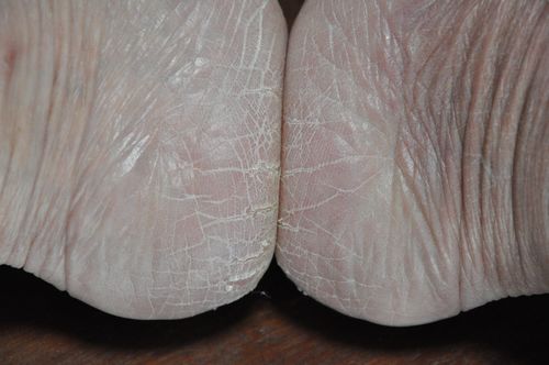 �̿��Τ褦��