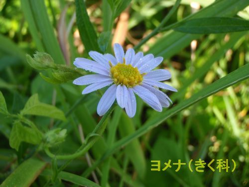?�����ʡʤ����ʡ�
