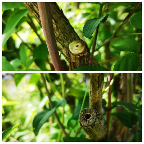 Ãæ¶õ¤Ë¤Ê¤Ã¤Æ¤¤¤Þ¤¹