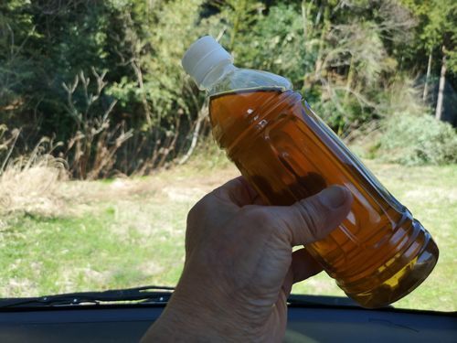 ��Ȥ�������