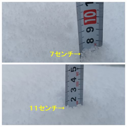 Ä«¤ÎÀÑÀã¤Ï