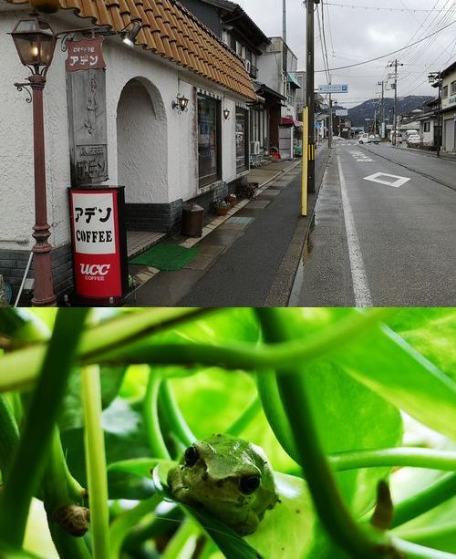 ���㥢�ǥ󤵤󤫤�֥����������������ޤ���
