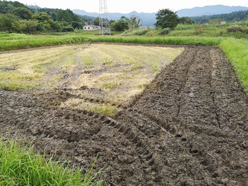 途中で作業は中断です