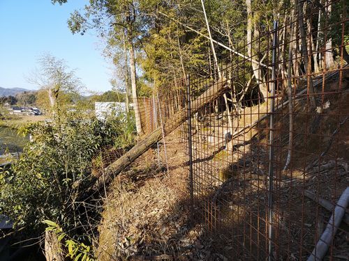 �ݤ줿�ߤθϤ��ڤǤ�