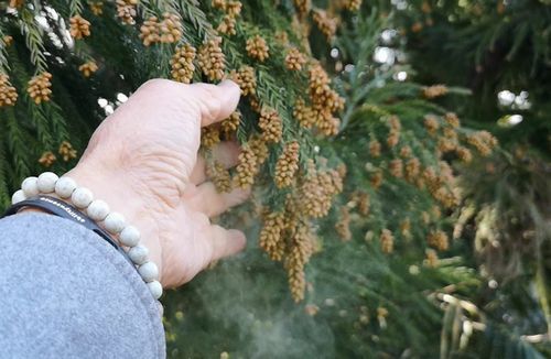 ��Τ褦�˲�ʴ���������ޤ���