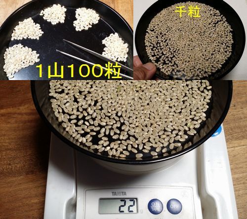 ��γ��γ�ǣ�����Ǥ���