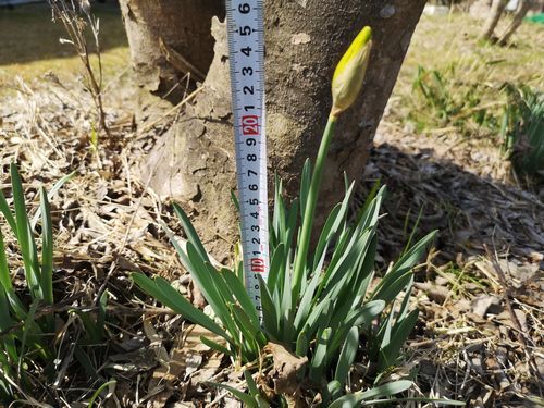 ����������ۤɤ�