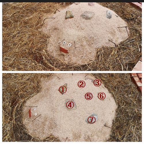 ¤Æ¤ó¤È¤¦¤à¤·