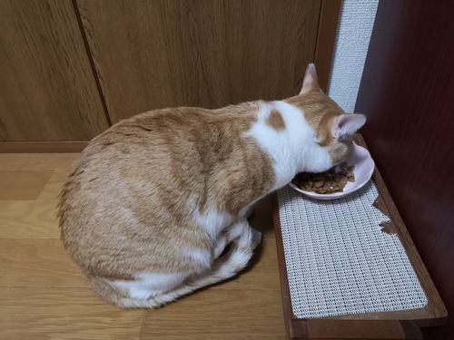 �����Ϲ��񿴤⿩�ߤⲢ��