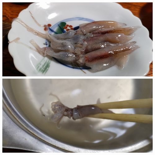 �ۥ��륤���Τ���֤���֤���ƿ��٤ޤ���