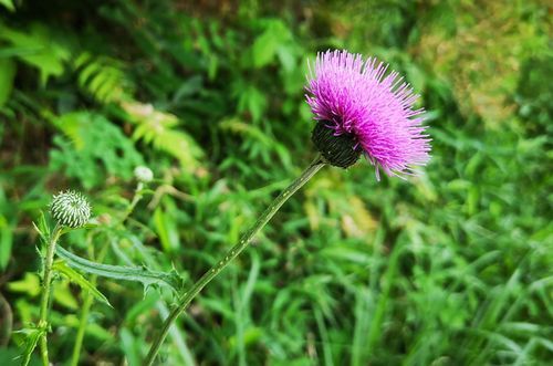 ¥Î¥¢¥¶¥ß¤â²ÖÀ¹¤ê