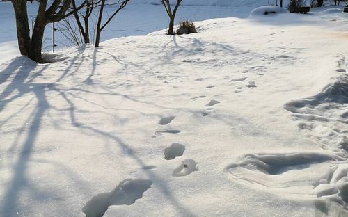 ��­�������ԡ��������