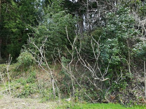 �ޤ����⤬�⤤�Ǥ�