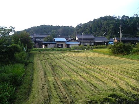 ��壵���𴢤괰λ