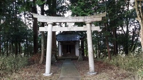 �����翹���Ҥ˶�̱���ͻ��Ҥ��ޤ���