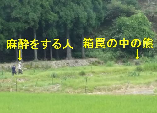 ʹ���ȡ�Ȣ櫤˷������ä��ȤΤ���
