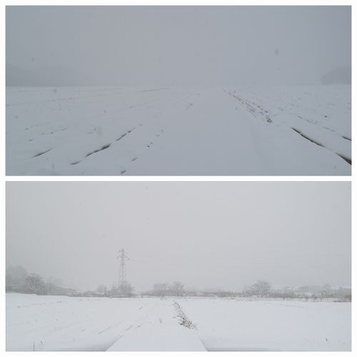 �Ĥ�ܤ���ǿ������