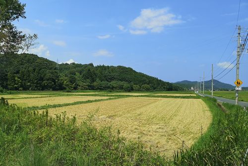 �𴢤꤬�Ϥޤ�ޤ���