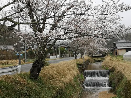 ����褤�κ��������Ǥ�