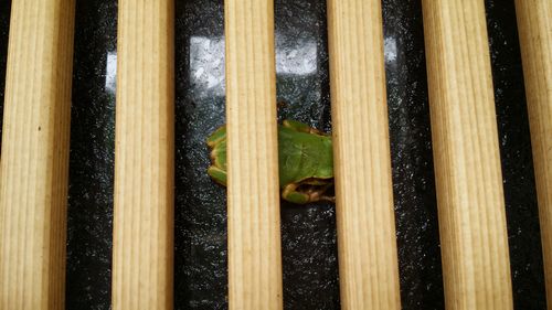 �����鸫���