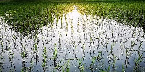 £¶·î£±£´Æü¤Ç£²£°Æü·Ð¤Á¤Þ¤·¤¿¡£