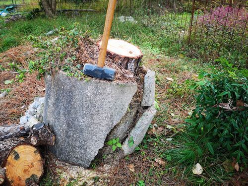 Åڴɤ˿¢¤¨¤é¤ì¤Æ¤¤¤Þ¤·¤¿